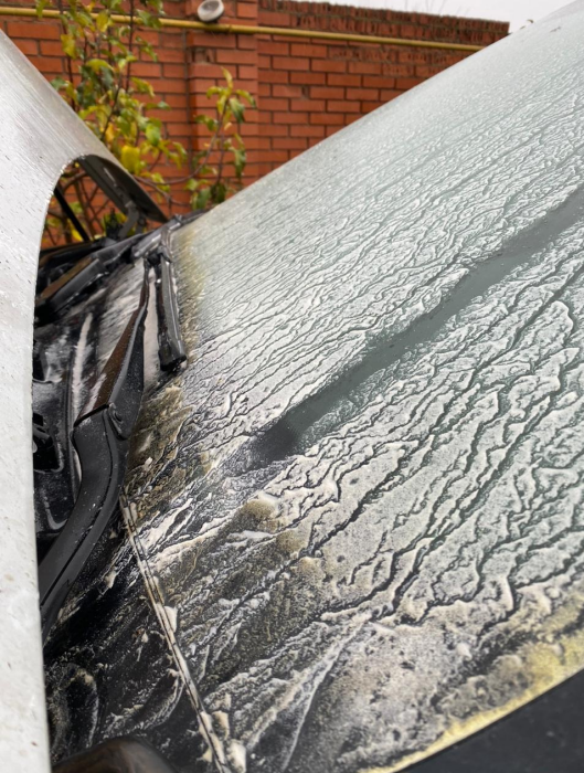 Фото 10 — Передел "Цитруса": Григорий Топал пытается "отжать" торговые марки на миллионы долларов