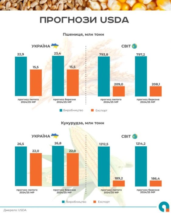 Фото 2 — USDA оновив прогноз щодо обсягів виробництва української пшениці та кукурудзи