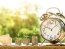 Фото: Pixabay