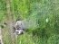 В Харьковской области российская противотанковая ракета попала в гражданский автомобиль: двое погибших
