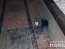 Могила Ватутина пострадала от рук молодых вандалов. Фото: Полиция Киева