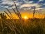 Фото: Pixabay
