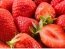 Украинская компания договорилась о крупных поставках земляники во Францию
