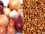 Лук и гречка. Фотоколлаж: agroportal.ua