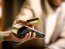 В марте количество оплат на один POS-терминал выросло почти на 8% в сравнении с довоенным периодом, — ПриватБанк