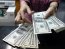 НБУ ставит рекорды по продаже валюты: как поведет себя курс доллара в последнюю неделю апреля