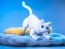 Роботизированная кошка MarsCat. Фото: Elephant Robotics