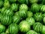 Почему херсонские арбузы упали в цене