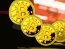 Фото: Bloomchain