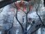 Пожар в одесском колледже 4 декабря. Фото: УНИАН