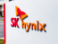 SK Hynix