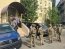 Фото: PavlovskyNews