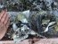 В Сумской области за день снова насчитали сотню прилетов со стороны России: какие общины пострадали