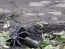 Россияне не прекращают обстрелы Харьковщины: повреждены дома и здание ГСЧС