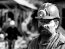 Фото: Pixabay