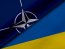Понад 70% американців підтримують вступ України до НАТО — опитування