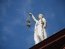 Фото: Pixabay