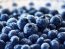 Фото: Pixabay