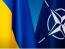 42% українців вважають прийнятною відмову від НАТО в обмін на гарантії безпеки - опитування