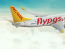 Фото: Facebook/Pegasus Airlines 