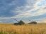 Російські війська не можуть вийти на адмінмежу Луганської області, - ОВА