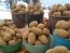 Фото: AgroPortal