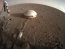 Модуль InSight на Марсе. Фото: twitter.com/NASAInSight