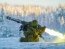 Javelin и не только: Эстония посылает Украине военную помощь