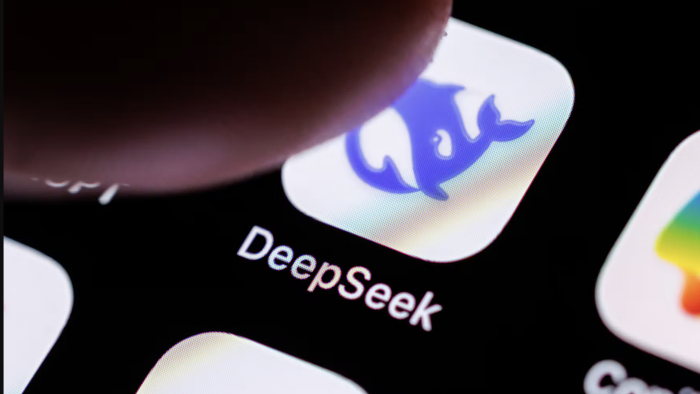 DeepSeek