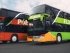 Фото: Flixbus