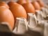 яйца