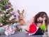 4 совета психолога: Как руководителю пережить декабрь