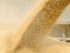 Следом за Cargill и Viterra. Еще один зернотрейдер рассматривает варианты выхода из РФ