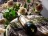 jameson виски россия