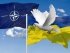 нато, украина, флаг