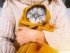 холод