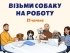 Візьми собаку на роботу: популяризація сприятливого середовища в офісах для чотирилапих. Як долучитися?