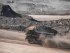 Гірничодобувна промисловість