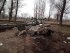 Знищений російський танк