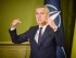 Четкий сигнал Путину: РФ не имеет права вето на расширение НАТО