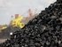 Индия резко увеличила закупку российского угля и нефти