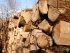 дрова
