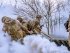 ВСУ за последние сутки ликвидировали 1080 российских окупантов.