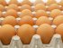 яйца
