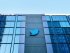 После ультиматума Илона Маска сотрудники Twitter массово покидают компанию