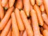 морковь