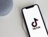 Соцсеть TikTok начала тестировать чат-бот с искусственным интеллектом Tako