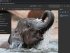 Веб-версия Photoshop станет бесплатной