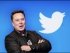 Илон Маск запустил опрос, стоит ли ему покинуть пост гендиректора Twitter