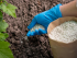 ЕС согласовал новые пошлины на агропродукцию и удобрения из России и Белоруссии